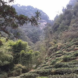 Sichuan