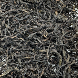 高山鳳凰単叢 老樹 蜜蘭香 2025