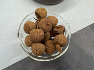 Workshop 2026年1月