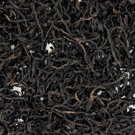 高山鳳凰単叢 古樹 蜜蘭香 2025