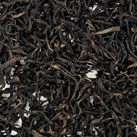 高山鳳凰単叢 古樹 通天香 2025