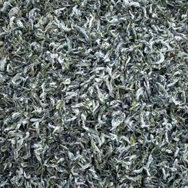 明前 手工 洞庭碧螺春 2026