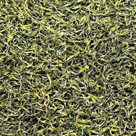 2026年 漓江毛尖 頭春茶