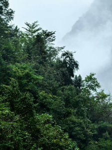 神農架林区老君山