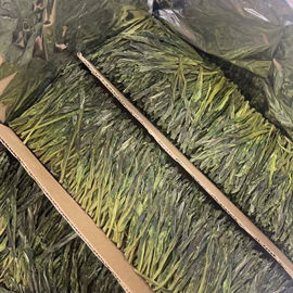 手工 太平猴魁 2026（4月19日摘）