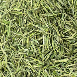 明前 安吉白茶 昆銅鎮 頭採 2026