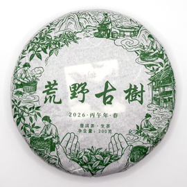 2026年 冰島 荒野古樹