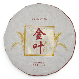 冰島古樹晒紅 2026 春 金叶